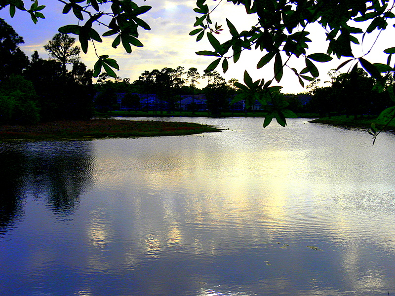 Serenity